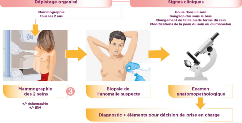 Diagnostic-3